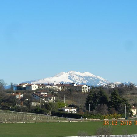 Bed & Breakfast Pegaso Valeggio sul Mincio Esterno foto
