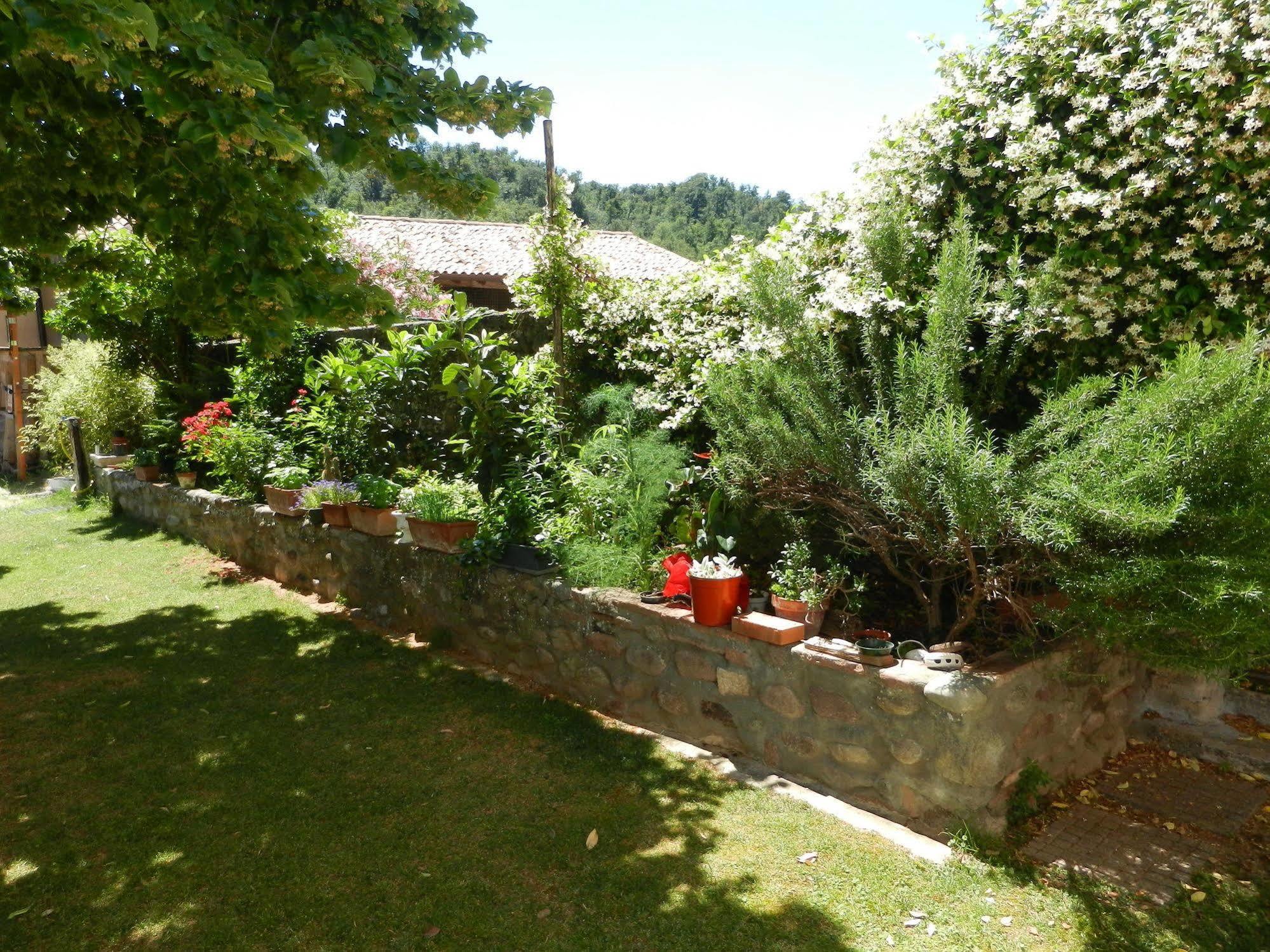 Bed & Breakfast Pegaso Valeggio sul Mincio Esterno foto